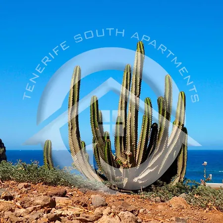 My Sea View Apartment *