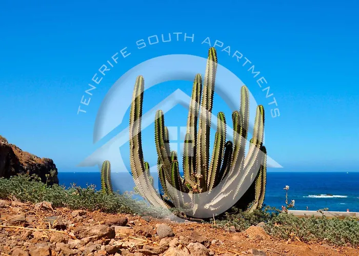 My Sea View アパート *